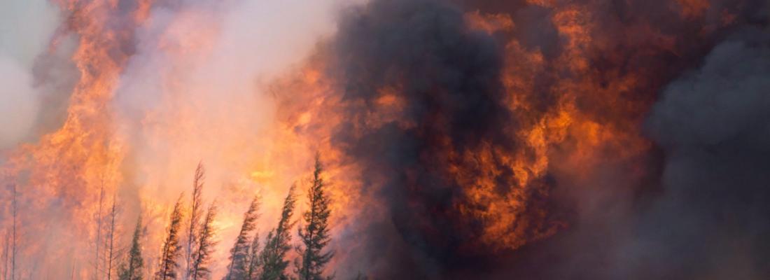 A giant fireball is seen as a wildfire rips through the forest 16 kilometres south of Fort McMurray, Alberta on Highway 63 on May 7, 2016. (THE CANADIAN PRESS/Jonathan Hayward) 