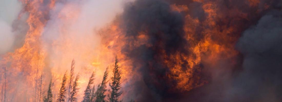 A giant fireball is seen as a wildfire rips through the forest 16 kilometres south of Fort McMurray, Alberta on Highway 63 on May 7, 2016. (THE CANADIAN PRESS/Jonathan Hayward) A giant fireball is seen as a wildfire rips through the forest 16 kilometres south of Fort McMurray, Alberta on Highway 63 on May 7, 2016. (THE CANADIAN PRESS/Jonathan Hayward)
