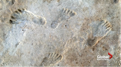23,000-year-old footprints. 23,000-year-old footprints.