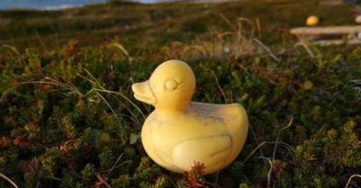 Adventures of a Rubber Duck Adventures of a Rubber Duck