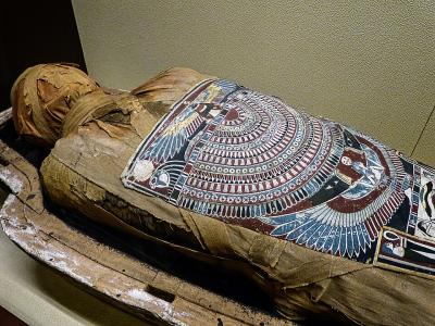 Caption: Egyptian mummy from 300 BCE ( Mary Harrsch via Wikimedia Commons: https://commons.wikimedia.org/w/index.php?curid=93813677) Caption: Egyptian mummy from 300 BCE ( Mary Harrsch via Wikimedia Commons: https://commons.wikimedia.org/w/index.php?curid=93813677)