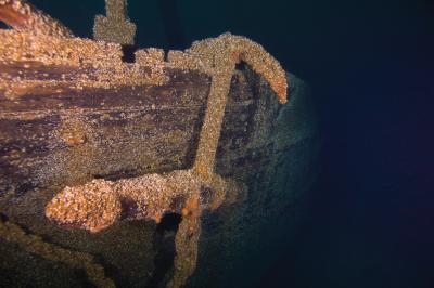 Shipwreck covered in mussels in Lake Huron. (Photo: National Oceanic and Atmospheric Administration, via Wikimedia Commons) Shipwreck covered in mussels in Lake Huron. (Photo: National Oceanic and Atmospheric Administration, via Wikimedia Commons)