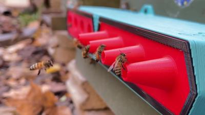 Bees enter their hives through a ProtectaBEE entrance. (Photo via The ProtectaBEE’s Facebook page.) Bees enter their hives through a ProtectaBEE entrance. (Photo via The ProtectaBEE’s Facebook page.)