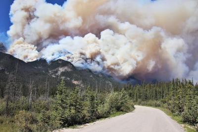 Wildfires such as the one in Jasper National Park affect many animal habitats. (Photo via Alberta Wildfires’ Facebook page.) Wildfires such as the one in Jasper National Park affect many animal habitats. (Photo via Alberta Wildfires’ Facebook page.)